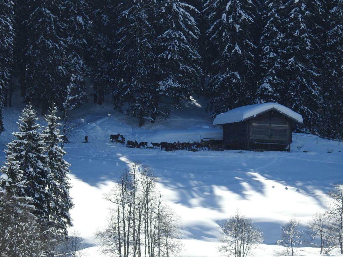 Appartement Blockhaus Ganschitter à Grossarl Extérieur photo